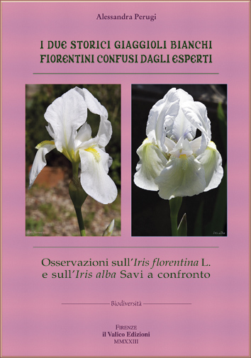 Copertina dell'opuscolo: I due storici giaggioli bianchi fiorentini confusi dagli esperti con il confronto fra le due Iris bianche