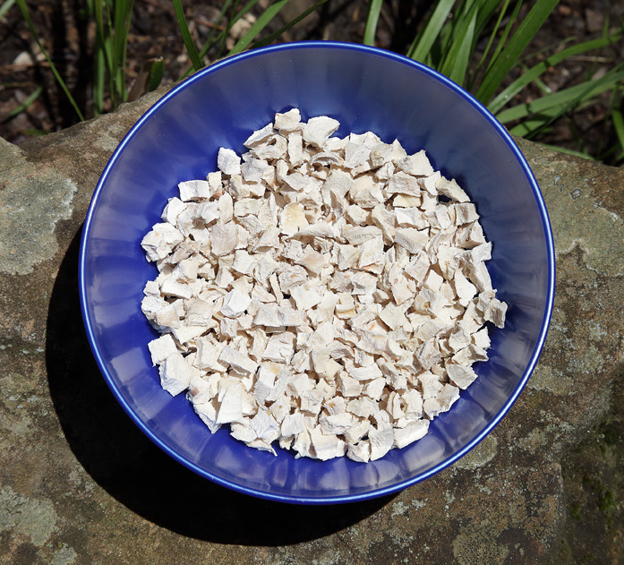 vaschetta con il rizoma dell'Iris florentina L. spezzettato