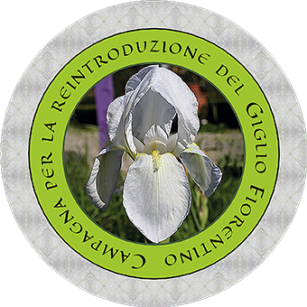 adesivo della Campagna per la reintroduzione del Giglio Fiorentino