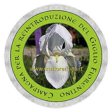 adesivo della Campagna per la reintroduzione del Giglio Fiorentino